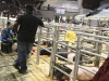 AISD-2015-Livestock-Show-and-Art-Contest-105A