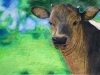 AISD-2015-Livestock-Show-and-Art-Contest-79A