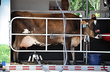 Garcia-Leza-ECPK-Cow-Visit